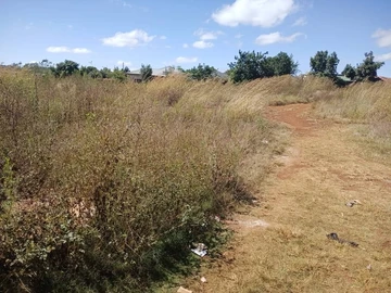 Commercial & Industrial Land