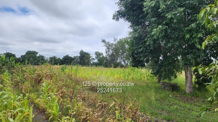 Waterfalls Uplands Stands for Sale