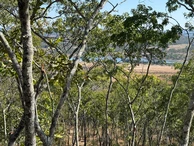 Farm & Agricultural Land