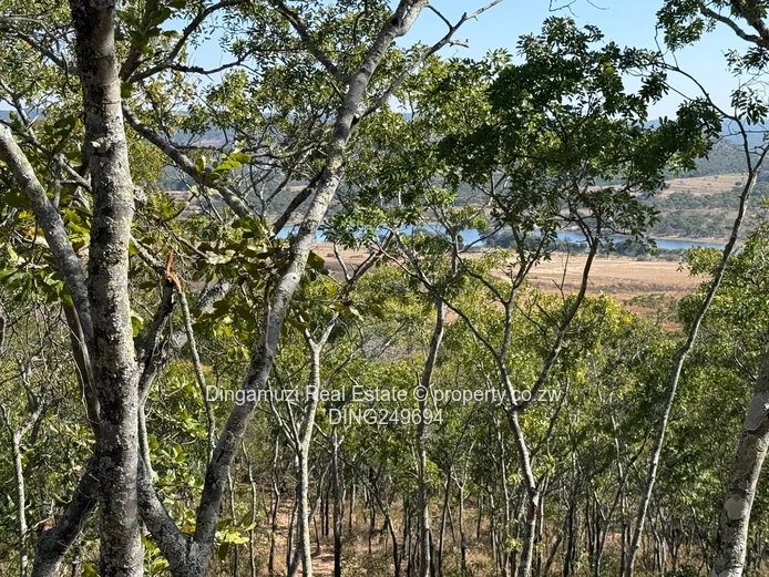 Goromonzi Agricultural 4-Hectare Land