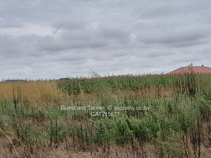 Negotiable Residential Stand for Sale – Baron Brooke, Mashonaland East