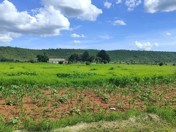 Farm & Agricultural Land