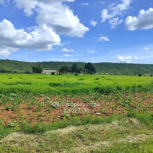 Kintyre estate plots for sale (Sole Mandate)