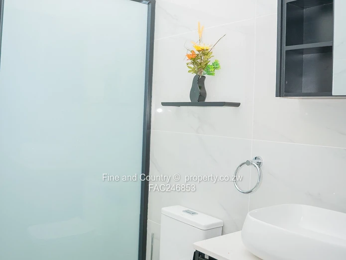 The Hillside Collection: Contemporary Elegance Redefined 