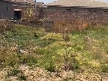 Stands & Residential Land