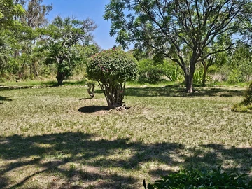 Farm & Agricultural Land