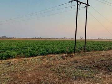 Farm & Agricultural Land