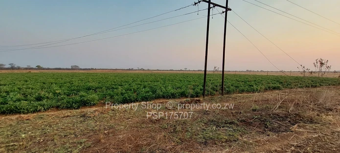 Excellent Farming Opportunity