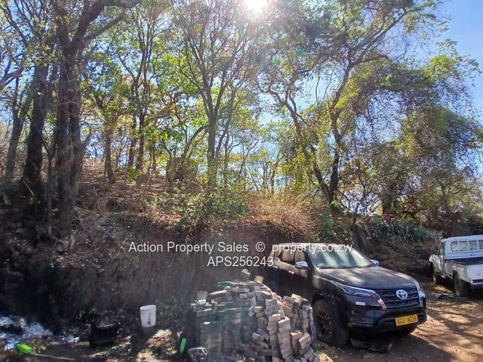 6936 Square Meters Of Land! 