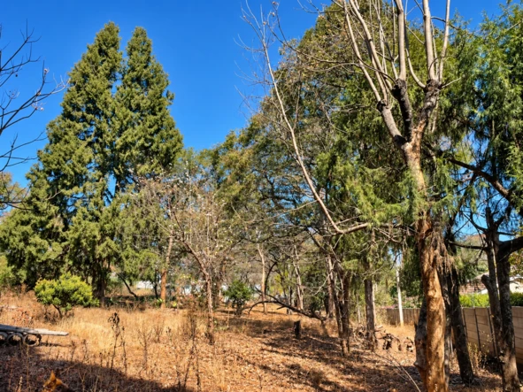 Stands & Residential Land