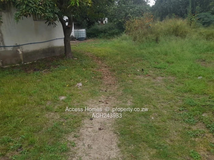 Hatfield Stand for Sale