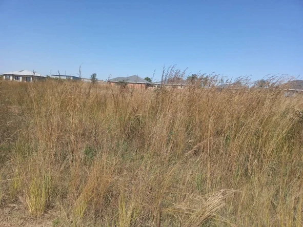 Stands & Residential Land