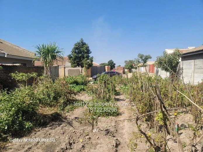 Granary Stand For Sale  (Sole Mandate)