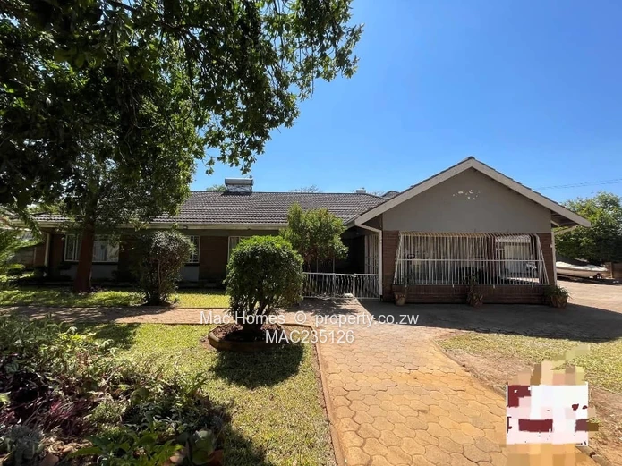 Modern Offering- Neat and Solid