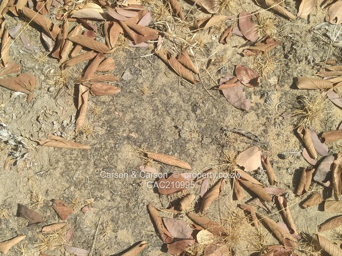 15Ha Farm & Agricultural Land in Mhondoro Ngezi with ZESA (Sole Mandate)