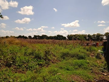 Marlborough 14 hectare plot for sale 