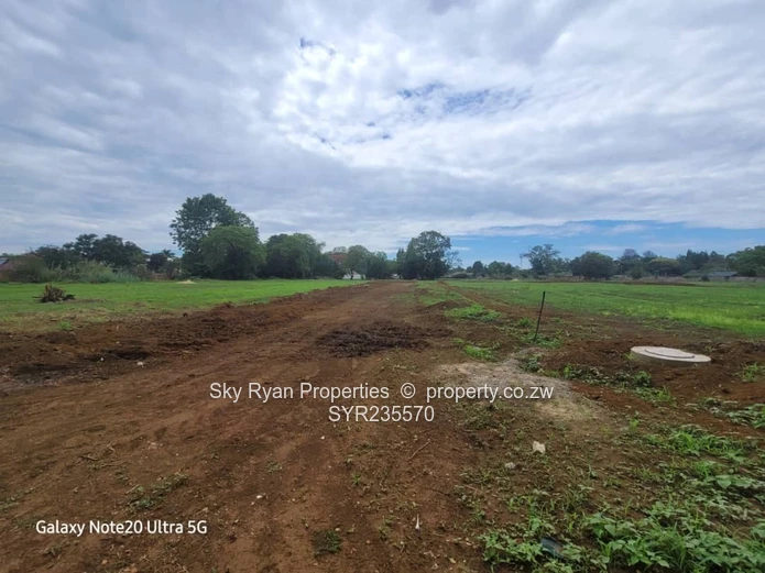 Marlborough Adlyn Stands For Sale