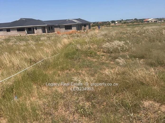 Norton Darwindale View Stand