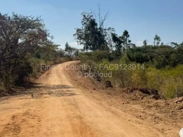 Farm & Agricultural Land