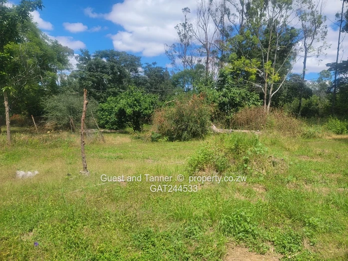 A Choice Of Two Properties For Sale In Colne Valley 