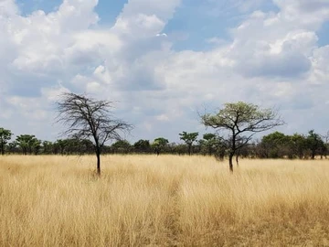 Farm & Agricultural Land