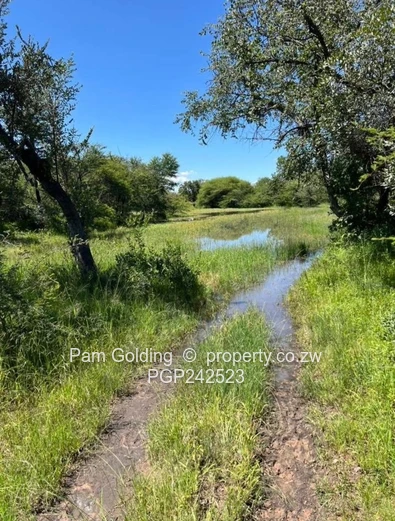 Nyamandlovu Plots for Sale