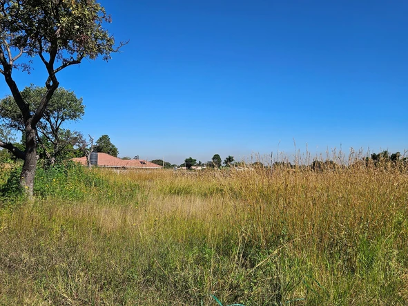 Stands & Residential Land