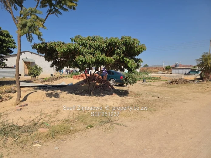 3-Bed Adelaide Park Home with Study, Yard & Water Tank (Sole Mandate)