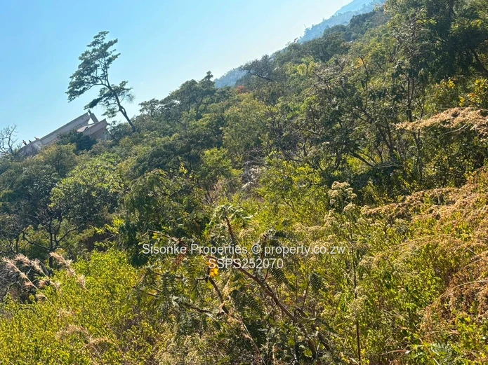 Prime Development Opportunity In Shawasha Hillsprime Development Opportunity In Shawasha Hill