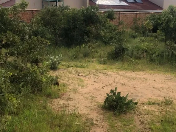 Stands & Residential Land