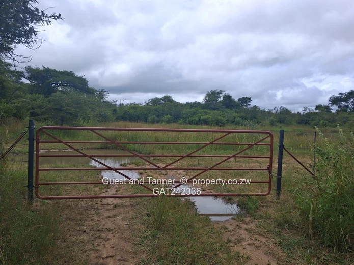 60-hectare Plot For Sale In Beatrice