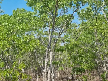 Farm & Agricultural Land