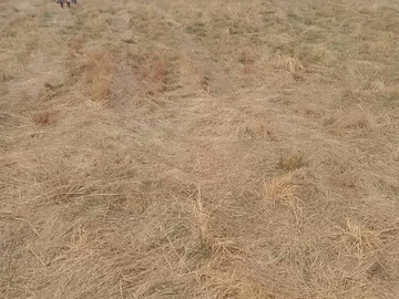 Farm & Agricultural Land