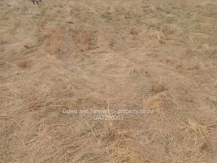 1.1 Hectares For Sale – Rainham Agro Plots | Usd $120,000