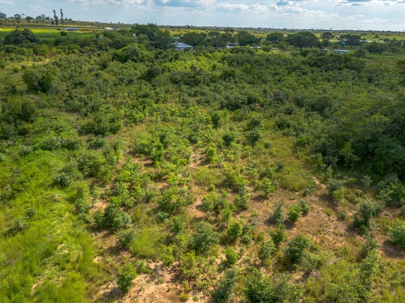 Farm & Agricultural Land