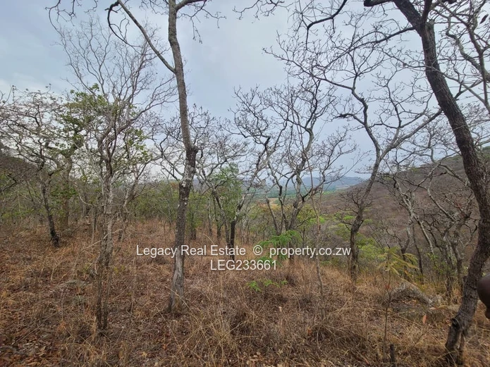 Prime 1.6-Hectare Plot for Sale in Christon Bank