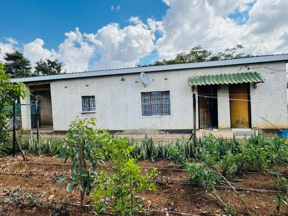 Farm & Agricultural Land