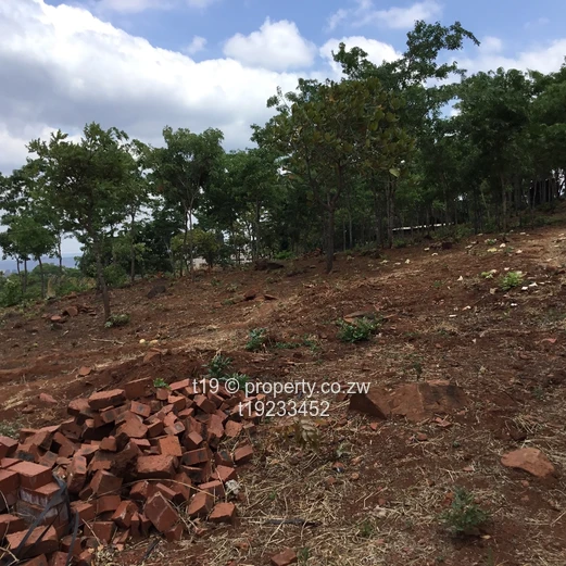 Build your dream home  (Sole Mandate)