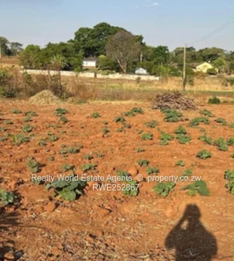 Residential stand for sale in Orange Groove, Chinhoyi