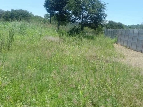 Stands & Residential Land