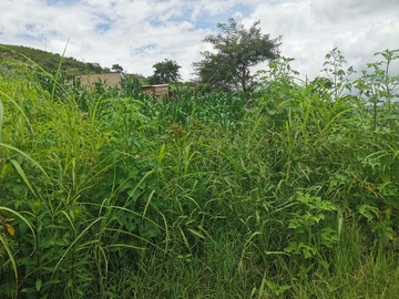 Residential Stand For Sale In Cattriel Mazowe Township 