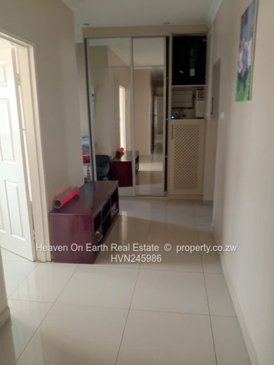 Elegant Home in Springvale with Modernist design 