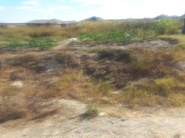 Farm & Agricultural Land