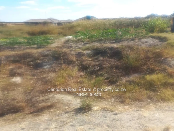 Selous Farm for Sale