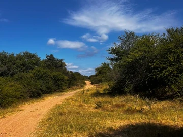 Farm & Agricultural Land
