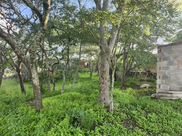 Farm & Agricultural Land