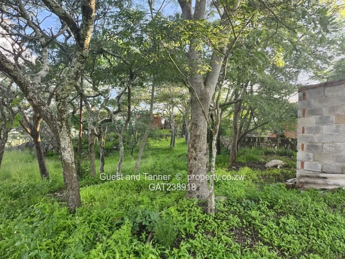 Ruwa Agro Residential Plot for Sale - 3.88ha with Farmhouse and Excellent Water Infrastructure