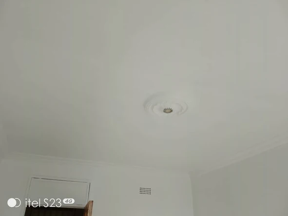 Flat & Apartment