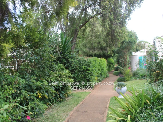 Dandaro Flat For Rent