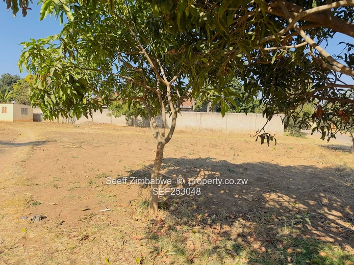 Generous Size Stand with 2-Bed Cottage, Zimre Park